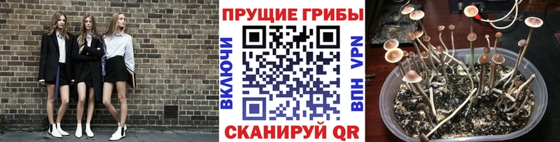 Псилоцибиновые грибы ЛСД Абдулино